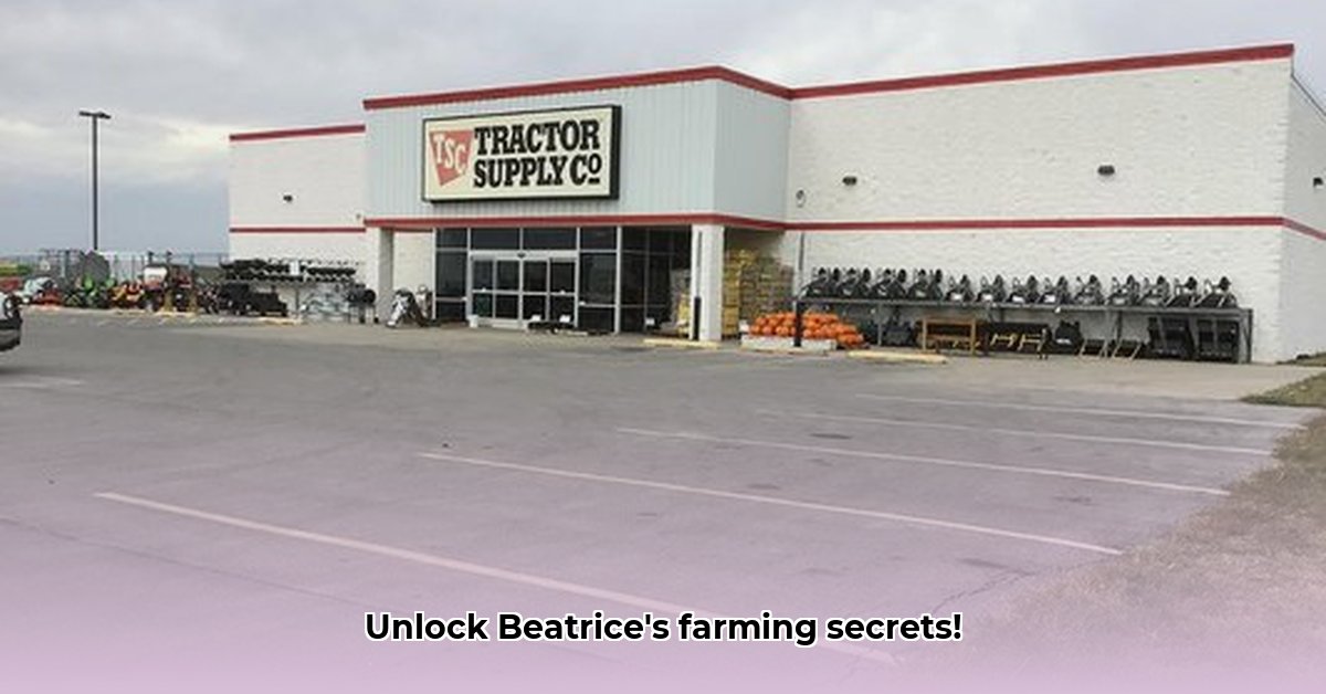 tractor-supply-beatrice-nebraska
